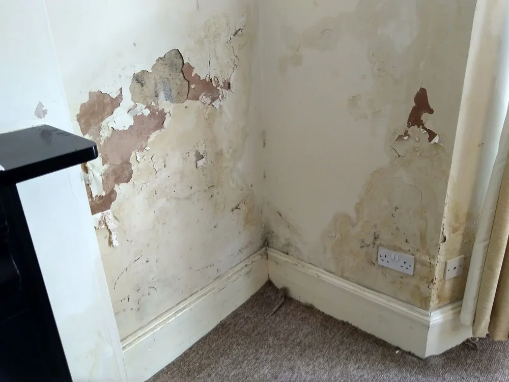 Wall plaster damage and structural crack analysis - GharCheck